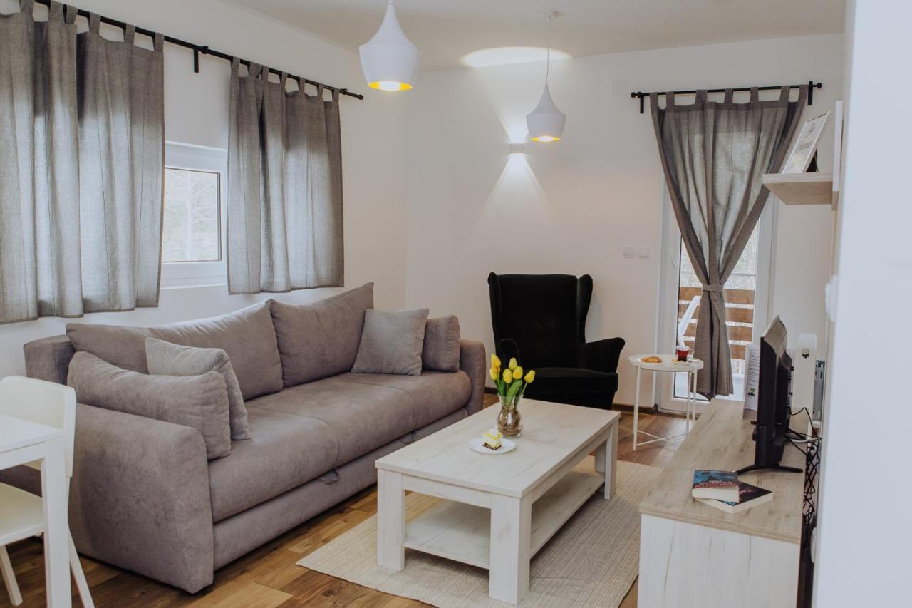 Planinsko Srce Apartment Divcibare Bagian luar foto